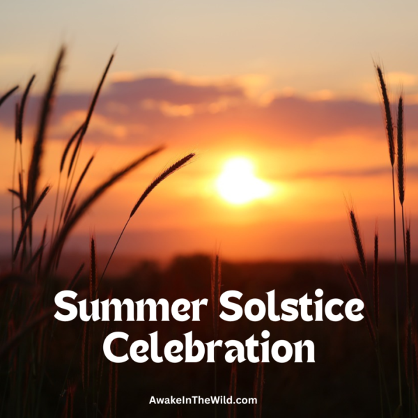Summer Solstice 2023