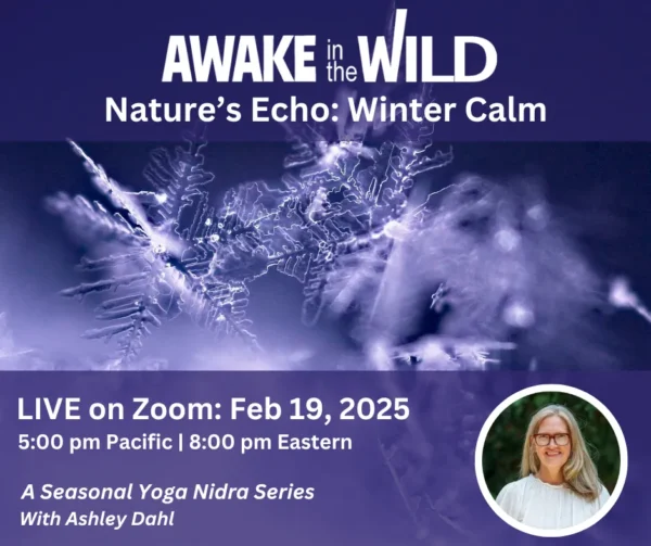 Nature’s Echo: Winter Calm