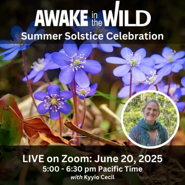 Summer Solstice 2025