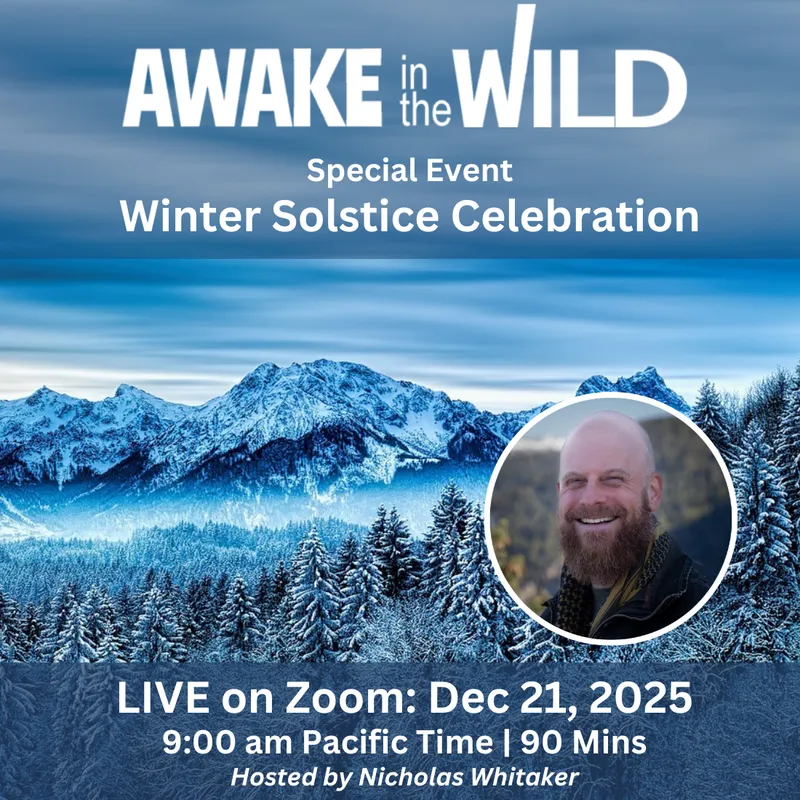 Winter Solstice 2025