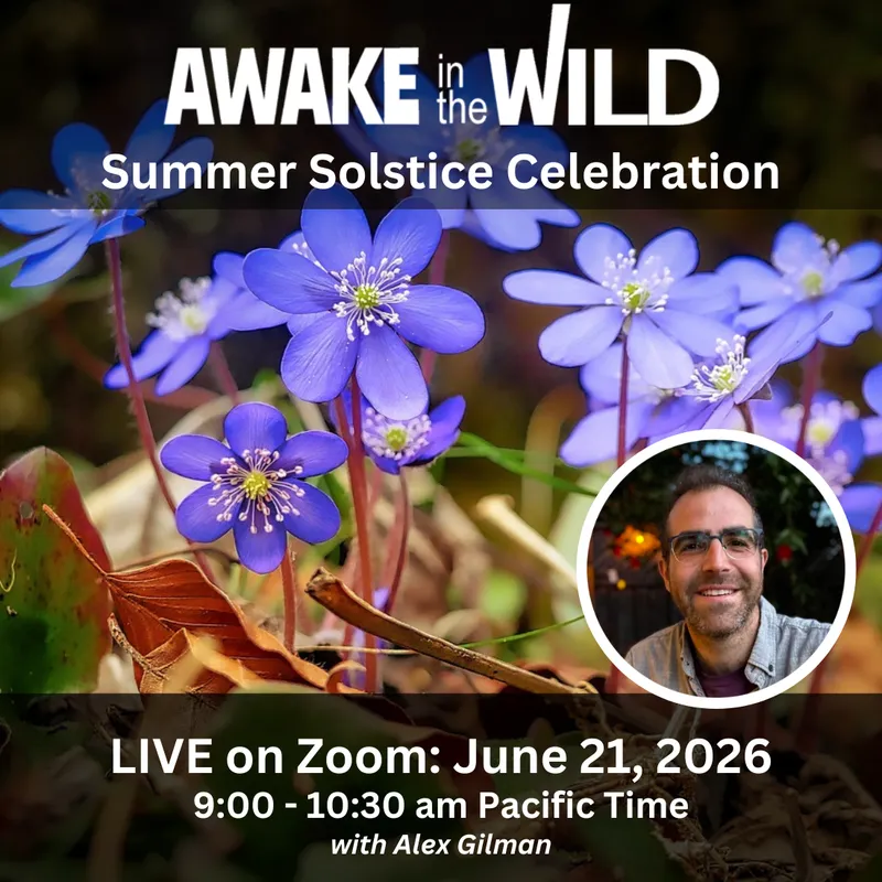 Spring Equinox Celebration 2026